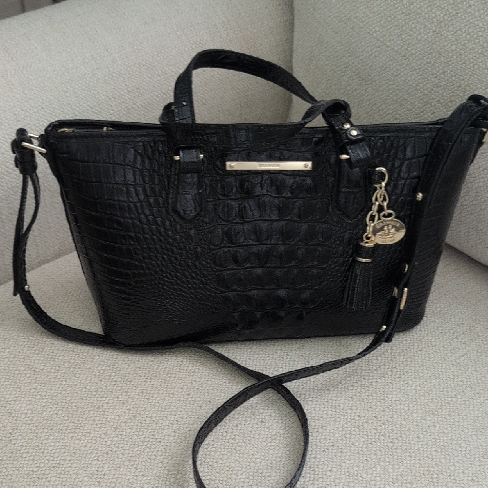 Brahmin Mini Asher